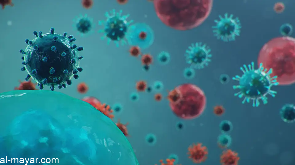 الصحة محذرة من موجة فيروسية: لا سبيل لتجاوز الآزمة إلا بتطبيق الإجراءات الوقائية