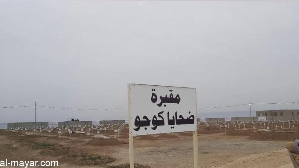 نتيجة بحث الصور عن كوجو