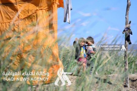 بالصور.. عدسة (واع) تعانق الأهوار بعذوبة الربيع